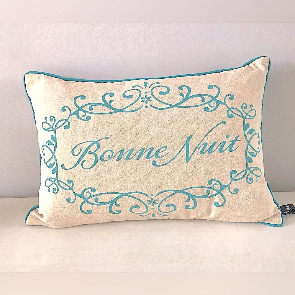 NWOT Newport Down Pillow. “Bonne Nuit”💫